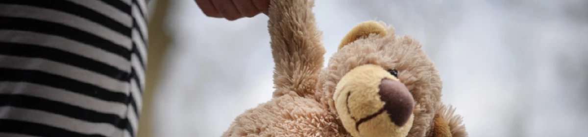 A child's hand holding a teddy bear