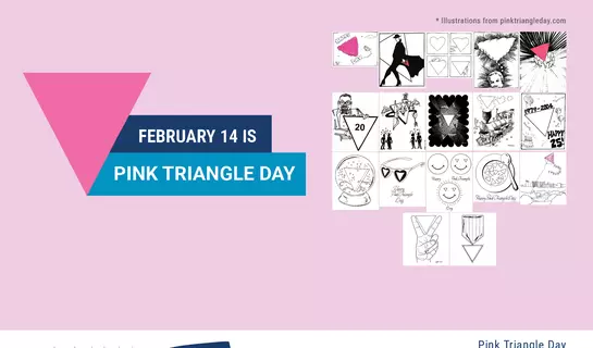 Image of Pink Triangle Day banner