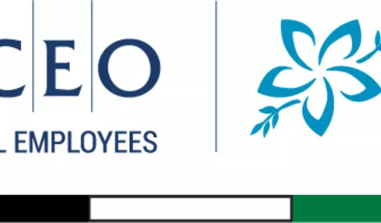 Image of AMAPCEO Arab Caucus logo