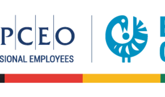 Image of AMAPCEO Black Caucus Logo