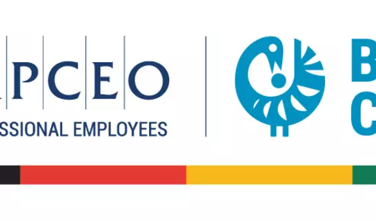 Image of AMAPCEO Black Caucus Logo