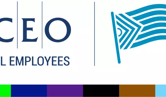 Image of AMAPCEO Pride Caucus Logo