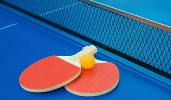 ping pong games night