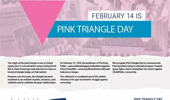 Pink triangle day