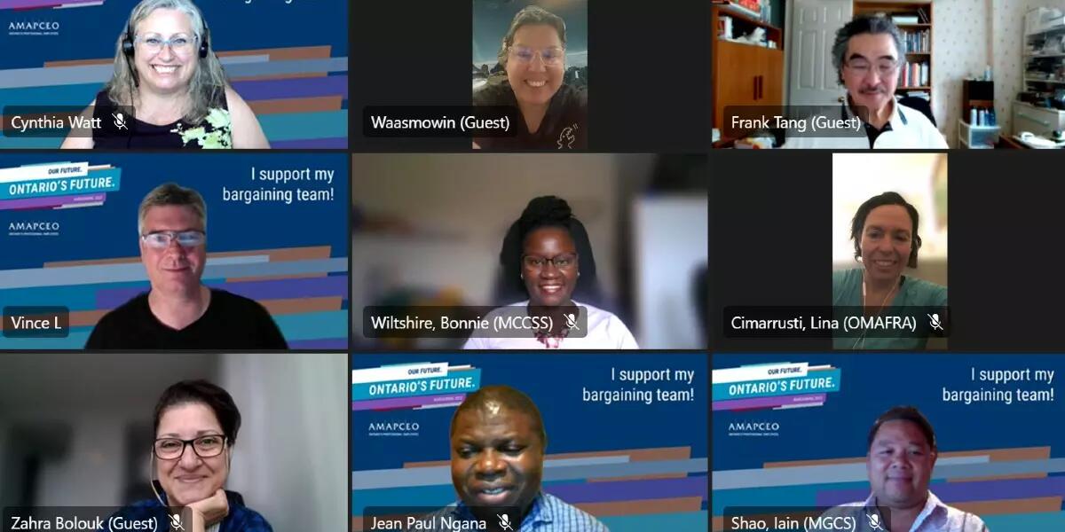 Screenshot of Zoom meeting of AMAPCEO Equity Committee