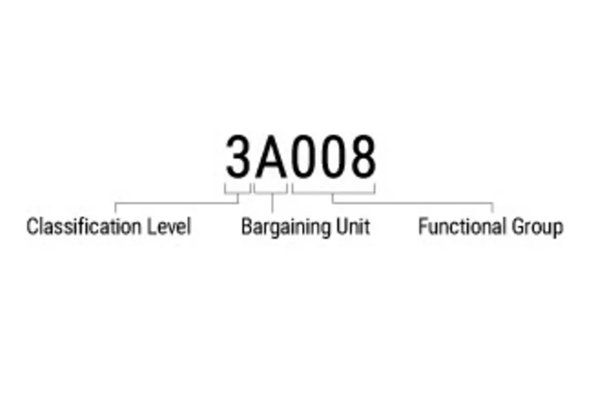 A breakdown of a job code. The first digit is the classification level. This is followed by a letter indicating bargaining unit. The final three digits are the functional group.