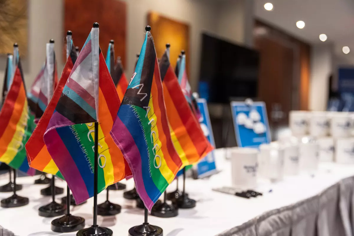 AMAPCEO Pride flags