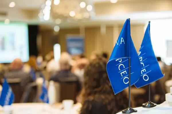 Two AMAPCEO desk flags