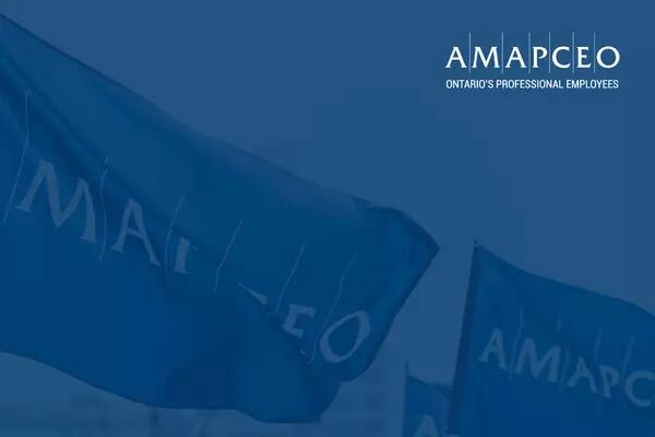 AMAPCEO video background of AMAPCEO flags