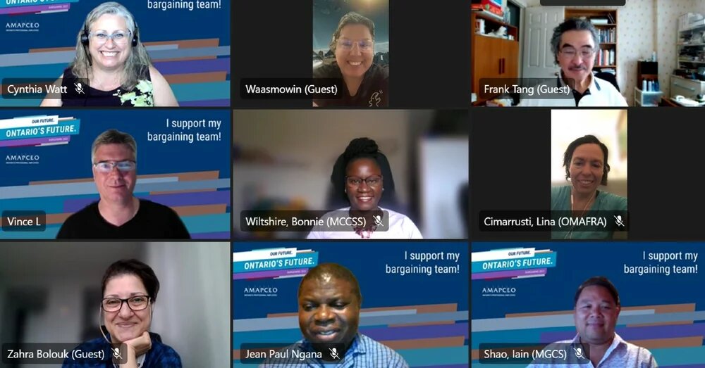 Screenshot of Zoom meeting of AMAPCEO Equity Committee