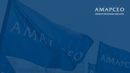 AMAPCEO video background of AMAPCEO flags