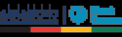 Image of AMAPCEO Black Caucus Logo