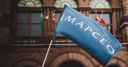 Image of AMAPCEO flag