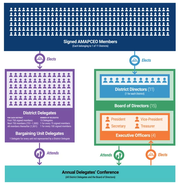 A graphic of AMAPCEO's governance structure