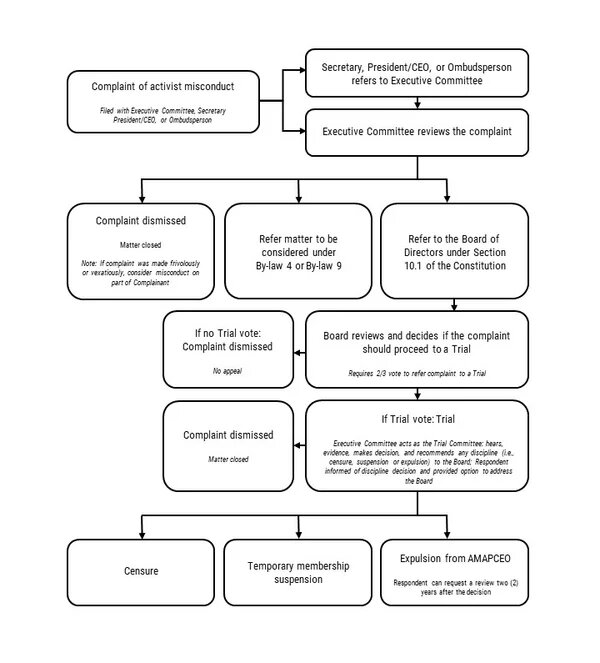 By-law10 - Appendix A Process Map