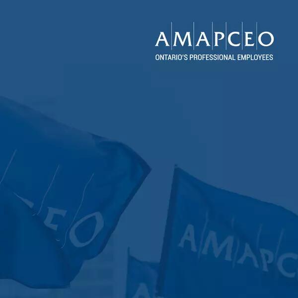 AMAPCEO video background of AMAPCEO flags
