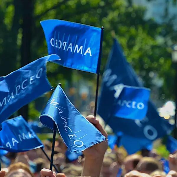 A crowd waving small AMAPCEO flags