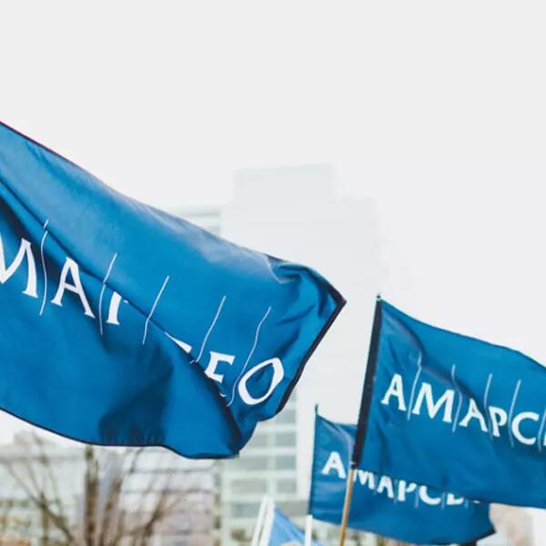 Image of AMAPCEO flags